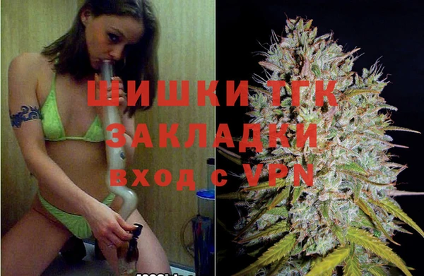 амф Балахна