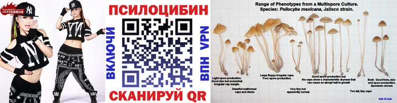Галлюциногенные грибы MAGIC MUSHROOMS  мега маркетплейс  Котельниково 